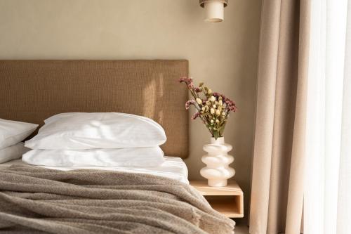 Seed Suite image 3