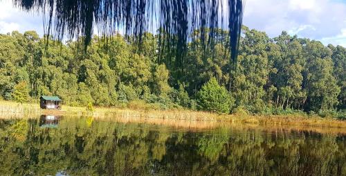 Wild Hunters Cabin at Drakensberg International Backpackers