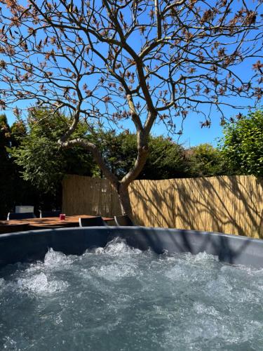 Domki pod orzechem