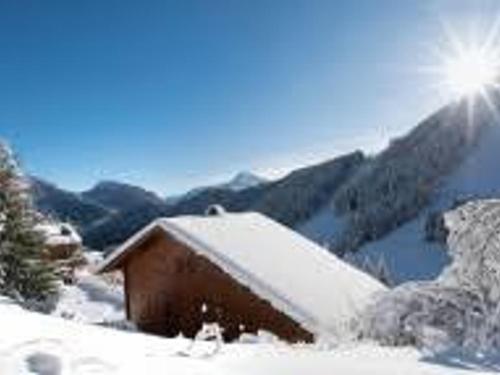 Superbe T3 au Col du Corbier - 6 couchages - FR-1-573-136 in Le Biot