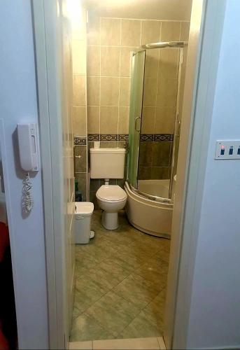 One-Bedroom Apartment image 10