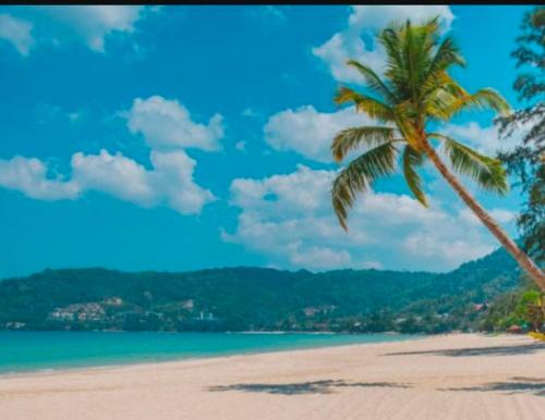 3plus1 Hostel Patong - Patong Beach