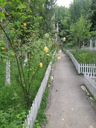 Vələs Garden