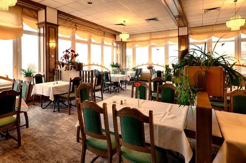 餐廳, Panorama Hotel Oberwiesenthal im Erzgebirge in 上維森塔爾