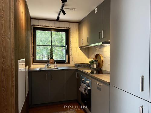 Lindvallen Ski Resort Pool and Padel - Sauna - 6 Guests - Pet Friendly in Salen