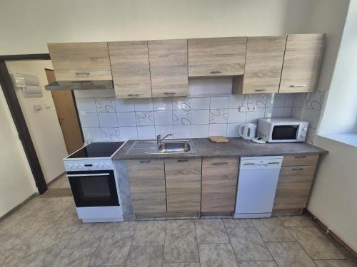 Apartmán pro 4 osoby, Vejprty (Apartman pro 4 osoby, Vejprty) in Vejprty