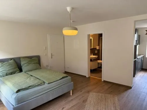 Ferienapartment im Zentrum komfortabel und praktisch in Geisenheim, Deutschland