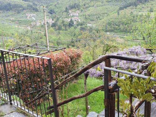 Tuscany, Loro Ciuffenna Mountain Bike&walking in Вони Чіуфена