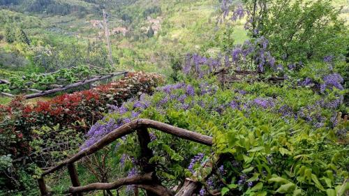 Tuscany, Loro Ciuffenna Mountain Bike&walking in Вони Чіуфена