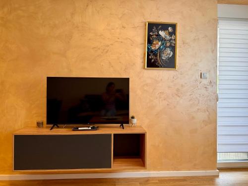 One-Bedroom Apartment image 10
