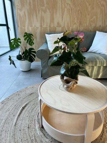 Pensión do Catro (Pension do Catro) in A Pobra De Trives