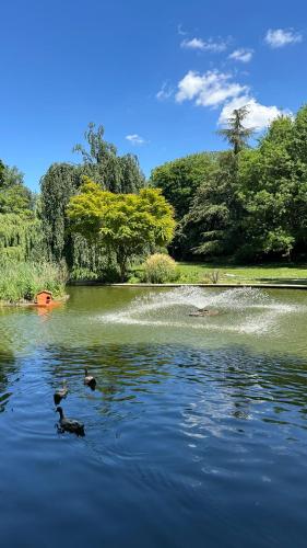 Suresnes - culture et détente, Suresnes (fotografie 5)