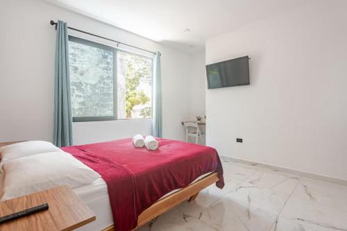 Alce33 Room Type - Deluxe Queen Room