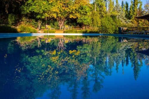 Peldbaseins, Hotel Loma bola in Loma Bola