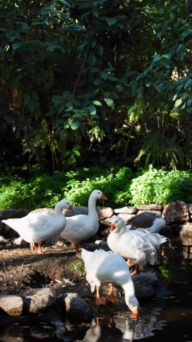 Hotel Loma bola in Loma Bola