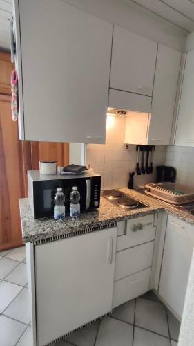 Charming studio in Poschiavo, Poschiavo (Foto 6)