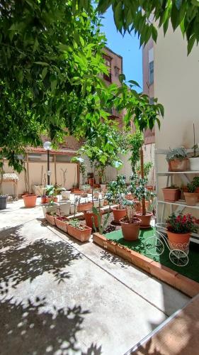  Tati´s Garden in Palermo