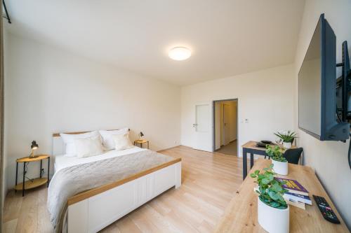 APARTIA Vlhka 26, Brno-center in Brno