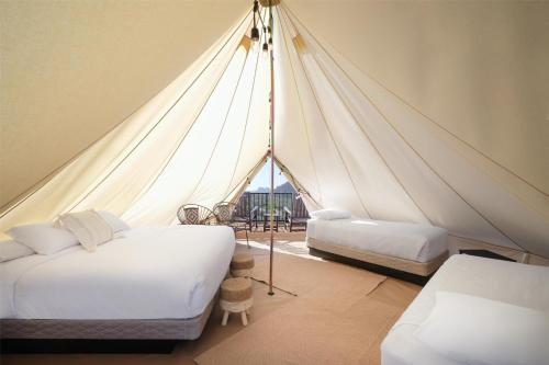 Tent with One King Bed, Two Twin Beds and Shared Bathroom