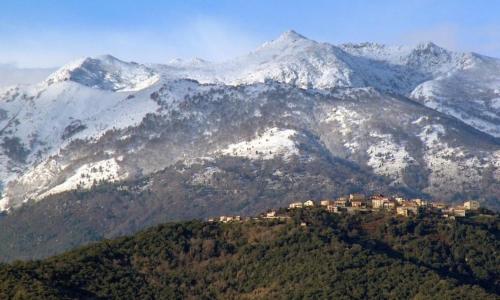 Casa Bonino - Chambre d'hôtes - Prunelli-di-Fiumorbo