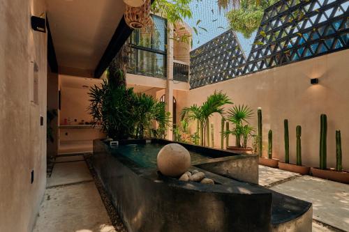 Vybavení, Pan Beach in Puerto Escondido