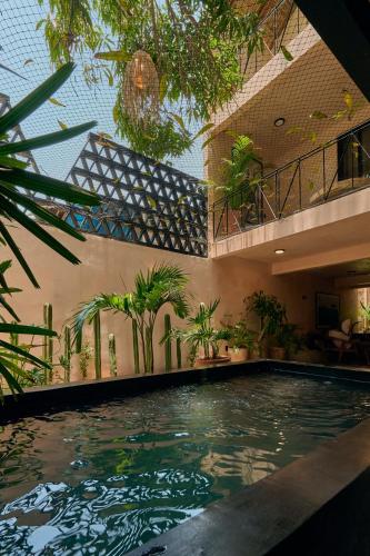 Bazén, Pan Beach in Puerto Escondido