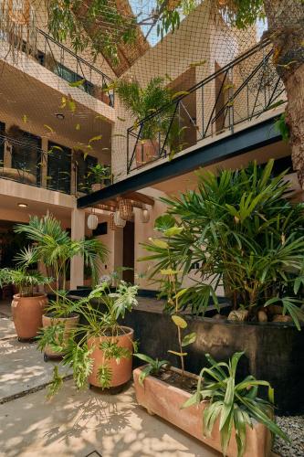 zahrada, Pan Beach in Puerto Escondido