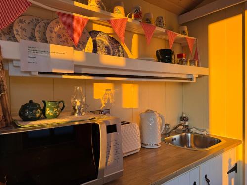 Mountain View Shepherds Hut in Kilkeel