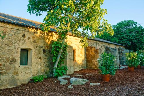 Casa Rural Castillo de Caceres