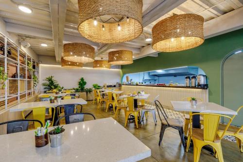 บริการและสิ่งอำนวยความสะดวก, Hotel Salento Real Eje Cafetero in ซาเลงโต