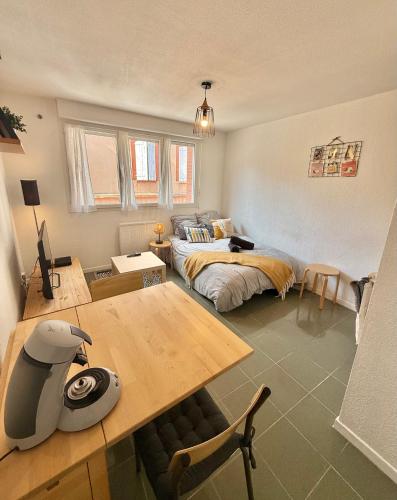 Studio Calme et Confort - Saint-Cyprien - Pont Neuf, Toulouse (fotografie 4)