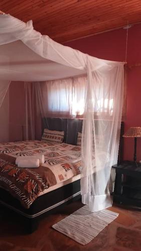 Toko-Eco-Lodge, Kamanjab in Kamanjab