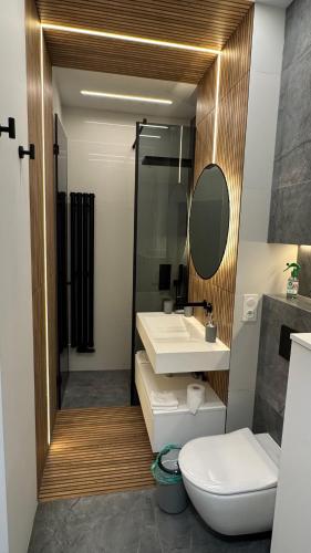 Central Park Apartment - Luxury, Fully Equipped with Air Conditioner and Garage, Wrocław (photo 8)