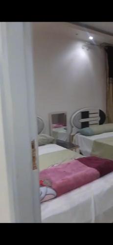 شقه سكن عائلى