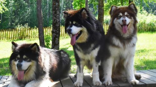 Park Hyatt Changbaishan