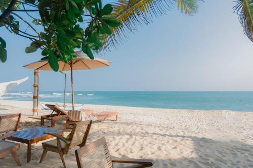 沙滩, Serendipity Mirissa in 米瑞莎