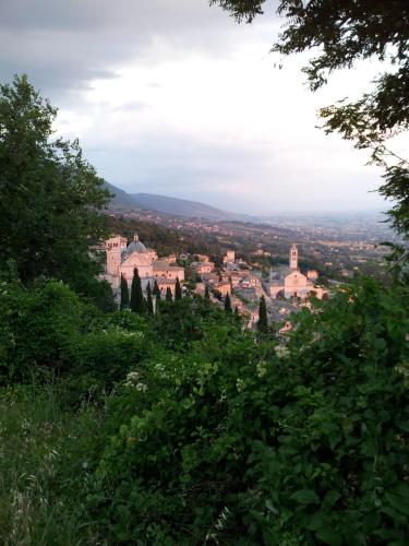 La Corte degli Angeli - image 13