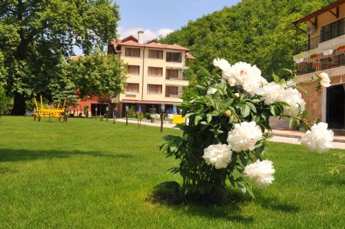 . Family Hotel Delta