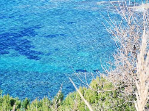 Strand, Sailorsroom in Agropoli