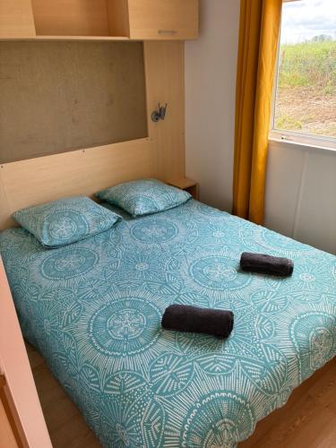 Mobile home du lac in Verrieres (Alsace)