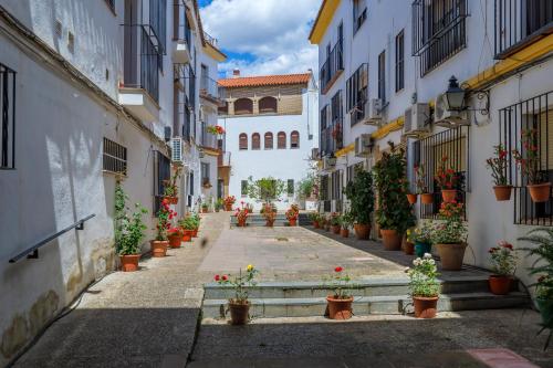 El Respiro Cordobés & Centro & Parking Incluido, Córdoba (fotografie 10)