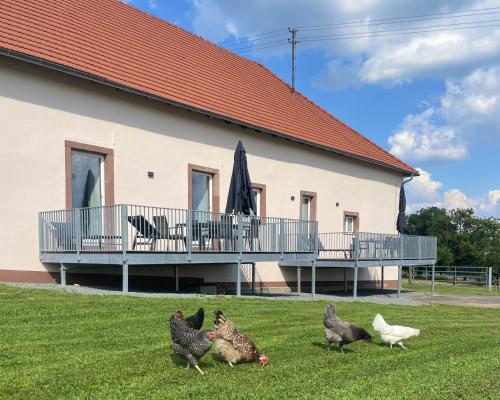 Ferienwohnungen - Gutshof Dürrhof (Ferienwohnungen - Gutshof Durrhof) in Freudenberg (Baden-Wurttemberg)