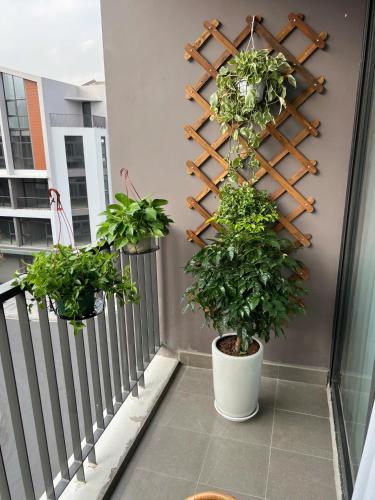 Ocean Park Homestay