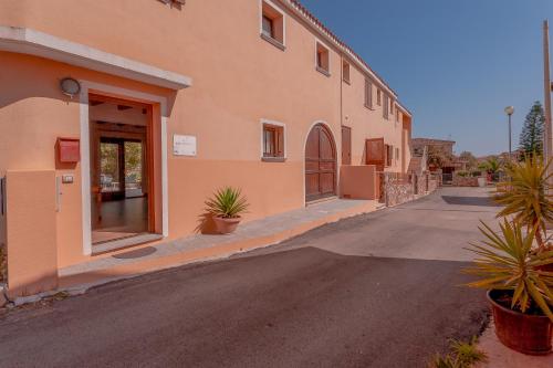 Pettirosso 3