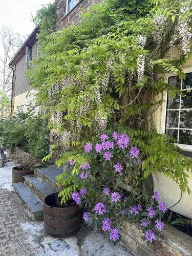 The Crooked Inn - image 6
