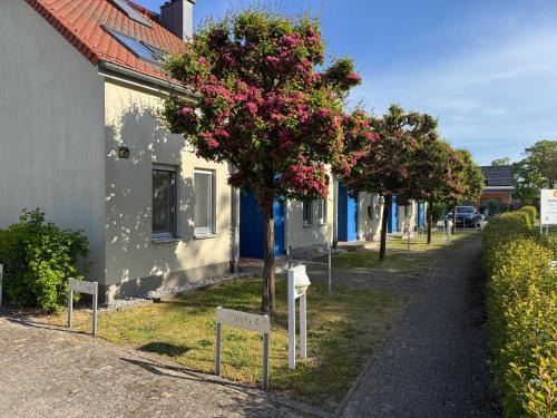 Hotelli välisilme, Kranich - Ferienwohnung mit Terrasse in Mellenthin