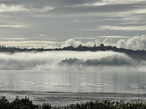 Auckland Sunrise Sea View, Auckland (foto 9)