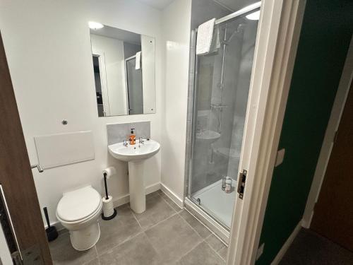 Beehosting Adelphi Wharf Apartments, Manchester (foto 4)