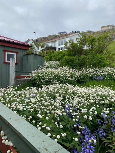 2BR Home with Sea Views and Parking - Tórshavn, Tórshavn (fotografie 7)