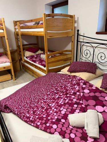 Hotel Zlechov Room Type - Standard Family Room